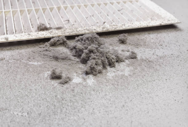 Best Air Duct Mold Removal  in Austell, GA